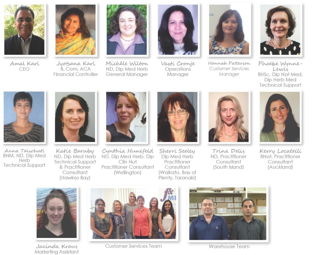 Meet Our Team