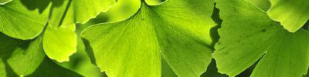 Header The Benefit of Standardized Herbal Extracts in Functional Medicine FxMed