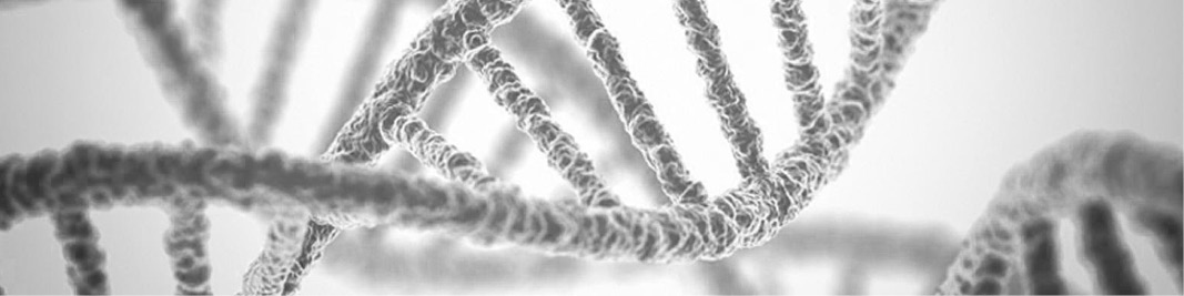 Methylation header