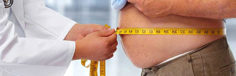 Inflamm-Obesity- Obesity is more than a Caloric Imbalance - header