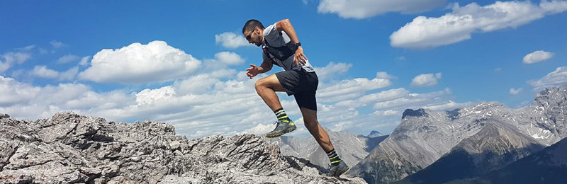 Metabolic and immune effects of strenuous exercise header