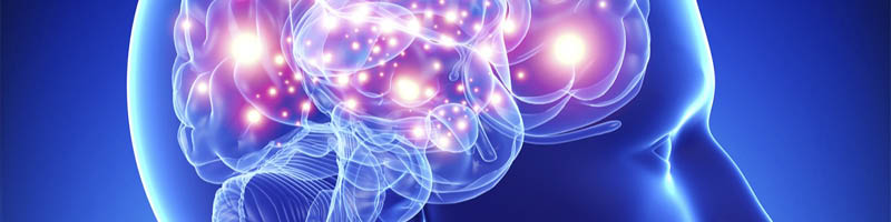 Improving Brain Function with Bacteria - header