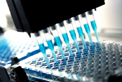 functional testing
