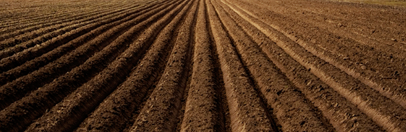 dirt ploughed