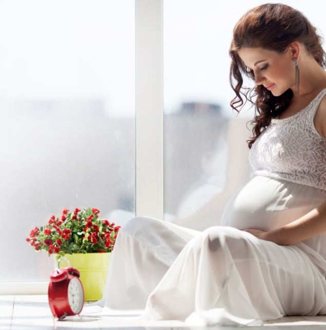 Pregnant Lady