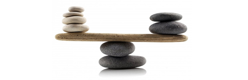 bEYOND THE TH1-TH2 PARADIGM - header