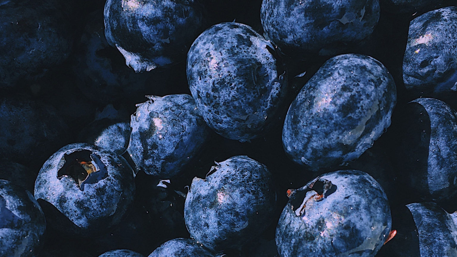 Wild Blueberries Derive Antioxidant Benefits from Alaska's Tundra and Rainforests